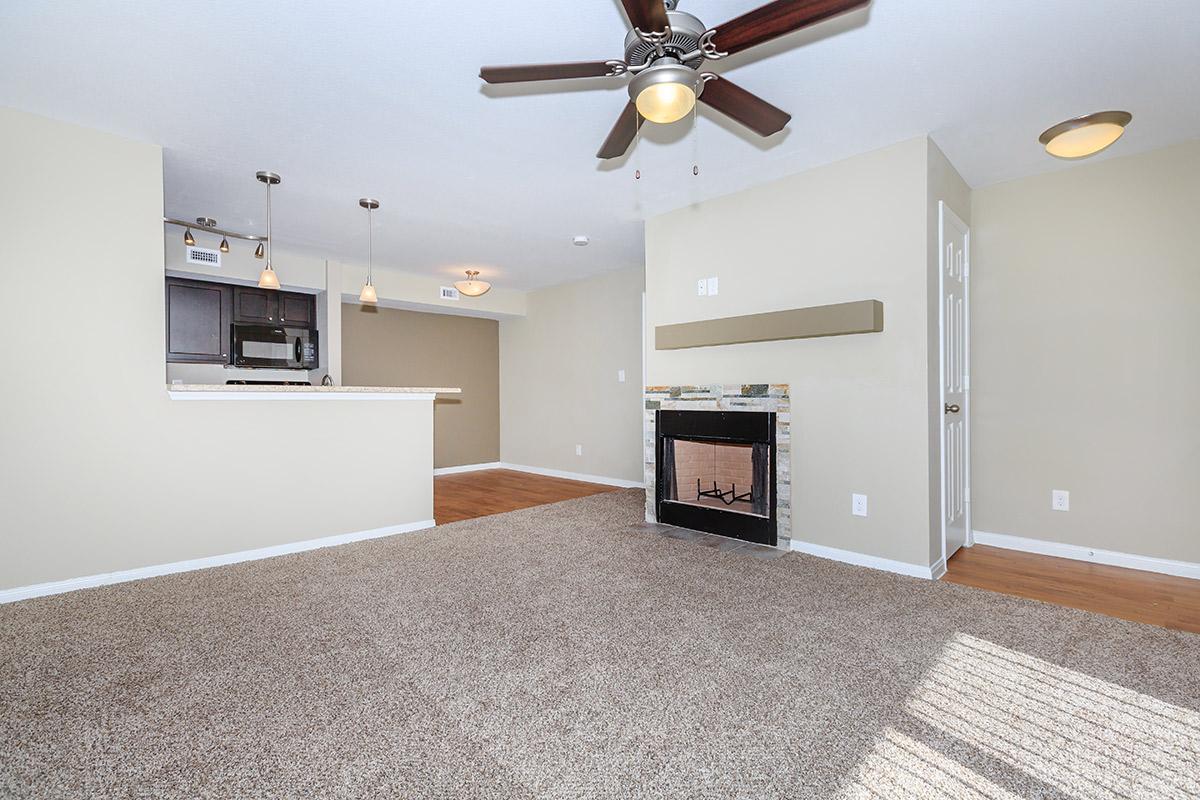 Living Room with Fireplace